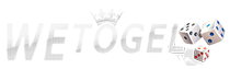 WETOGEL logo